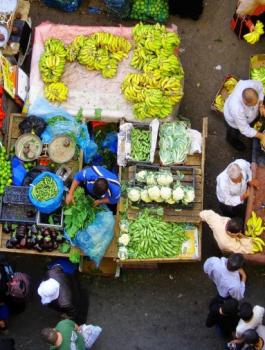 اسعار المواد الاستهلاكية