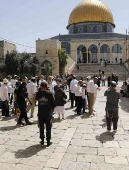 المستنوطنون في الاقصى