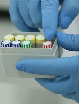 الاردن وفيروس كورونا