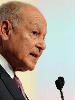 ابو الغيط وفلسطين