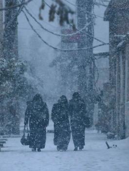 الخليل والثلوج