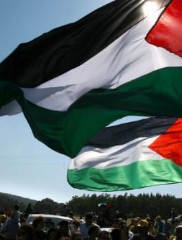 فلسطين وباراغواي