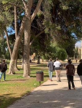 المستوطنون في الاقصى