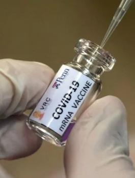 الصحة العالمية وفيروس كورونا