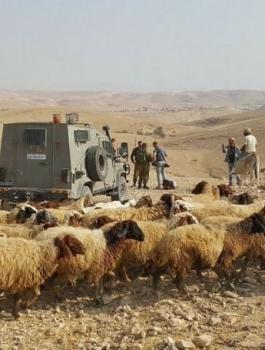 انفجار جسم مشبوه في راعي اغنام