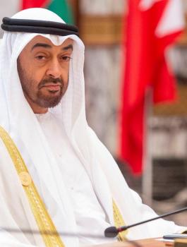 بن زايد والامارات