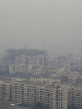 الامطار في فلسطين