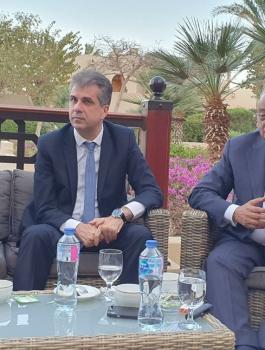 مصر واسرائيل وسيناء