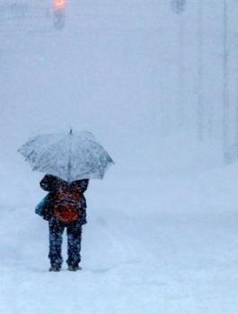 انتهاء فصل الشتاء في فلسطين