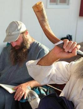 المستوطنون يقتحمون حي الطيرة برام الله