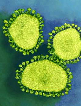 طفرات جديدة من كورونا