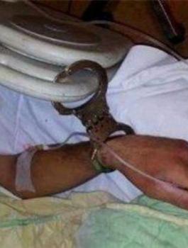 هيئة الاسرى في سجن نفحة