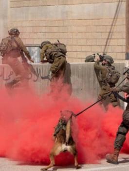 الحرب على غزة