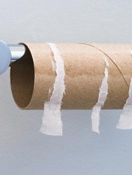 سفينة السويس وورق التواليت