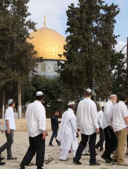 المستوطنين يقتحمون الاقصى