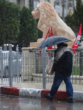 الامطار في فلسطين