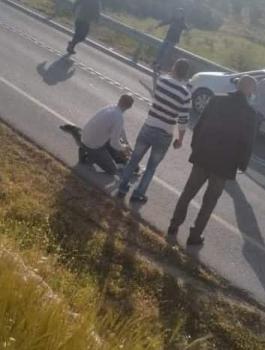 استشهاد مسنة بعد قيام مستوطنة بدهساه