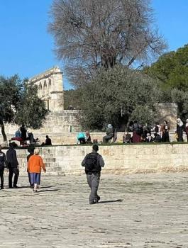 اقتحامات المستوطنين للمسجد الاقصى