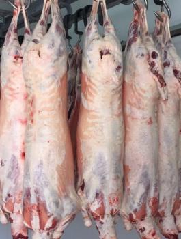 تجار اللحوم وارتفاع اسعارها في الاسواق