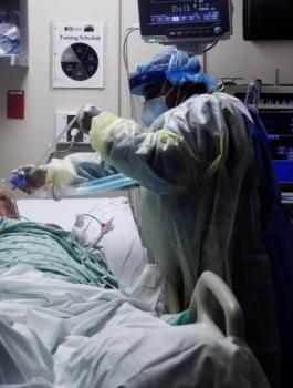 وفيات بكورونا في فلسطين