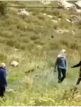 المستوطنون في جالود