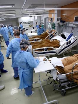 البرازيل والحمل