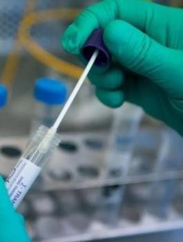 كورونا في قلقيلية