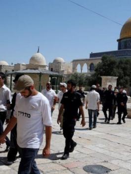 اقتحامات المستوطنين للمسجد الاقصى
