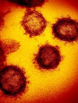 متحورات كورونا