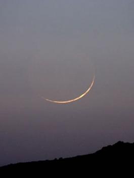 الفلك الدولي وعيد الاضحى