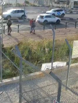 عملية زعترة