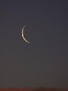 شهر رمضان والعيد