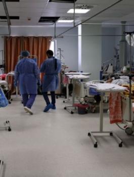 الصحة والوفيات بكورونا في فلسطين