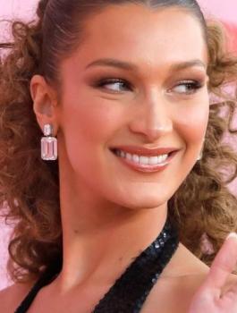 بيلا حديد وفلسطين