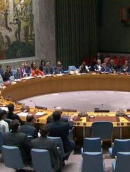 مجلس الامن.jpg
