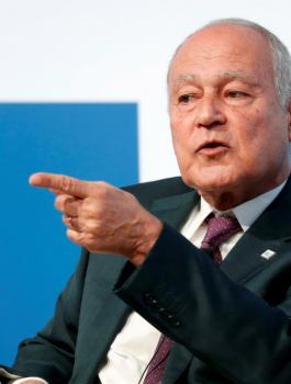 ابو الغيط وفلسطين