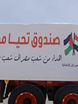 صندوق تحيا مصر وغزة