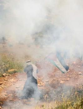 اصابات في بيت دجن