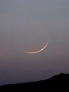 عضو هيئة كبار العلماء