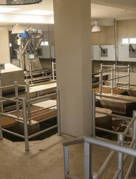 خانيونس وغزة