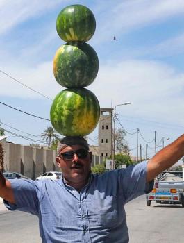 البطيخ الاسرائيلي