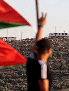 فلسطين-4-730x438-1.jpg