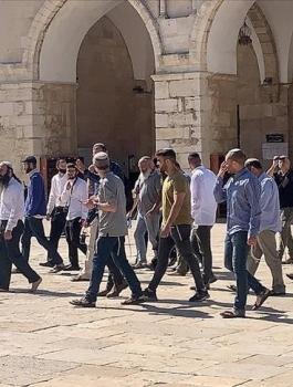 المستوطنين يقتحمون الاقصى