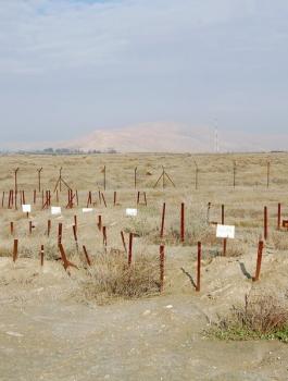 مقبرة الارقام