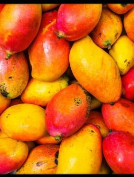 اغلى حبة مانجو في العالم