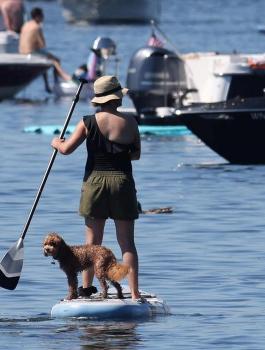 درجات الحرارة في اميركا