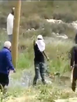 اصابة شبان في هجوم للمستوطنين