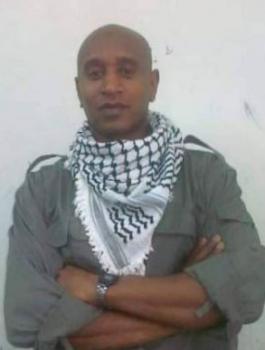 التقاط.JPG