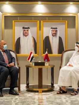 وزير خارجية مصر وقطر
