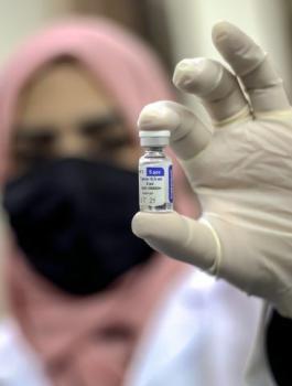 التطعيم في الخليل